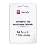 Wp Elementor Pro